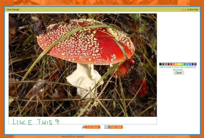 PMSDAP - Asking Through Whiteboard