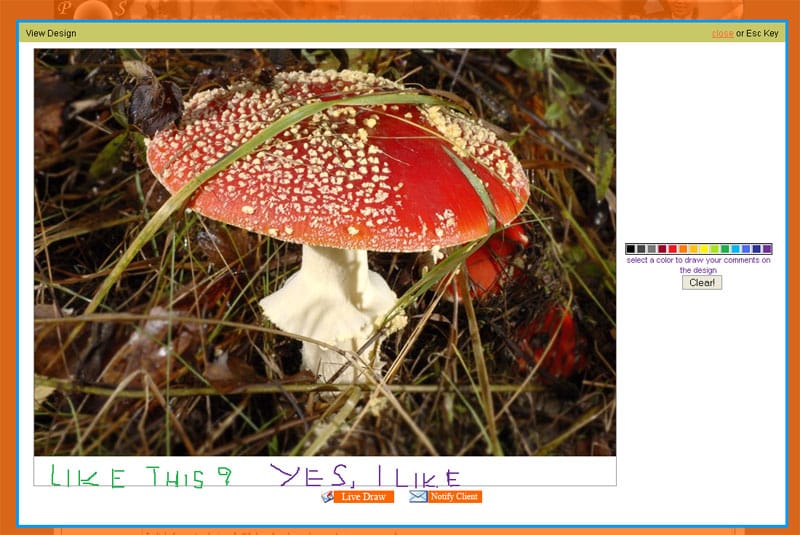 PMSDAP - Answering Through Whiteboard