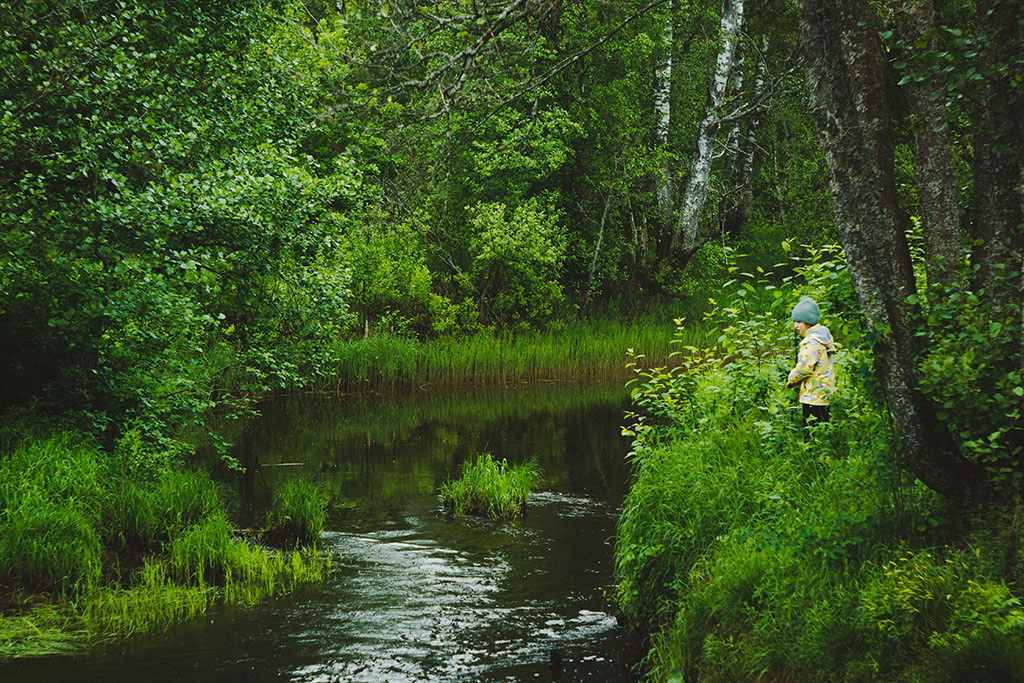 Spending Time with Nature